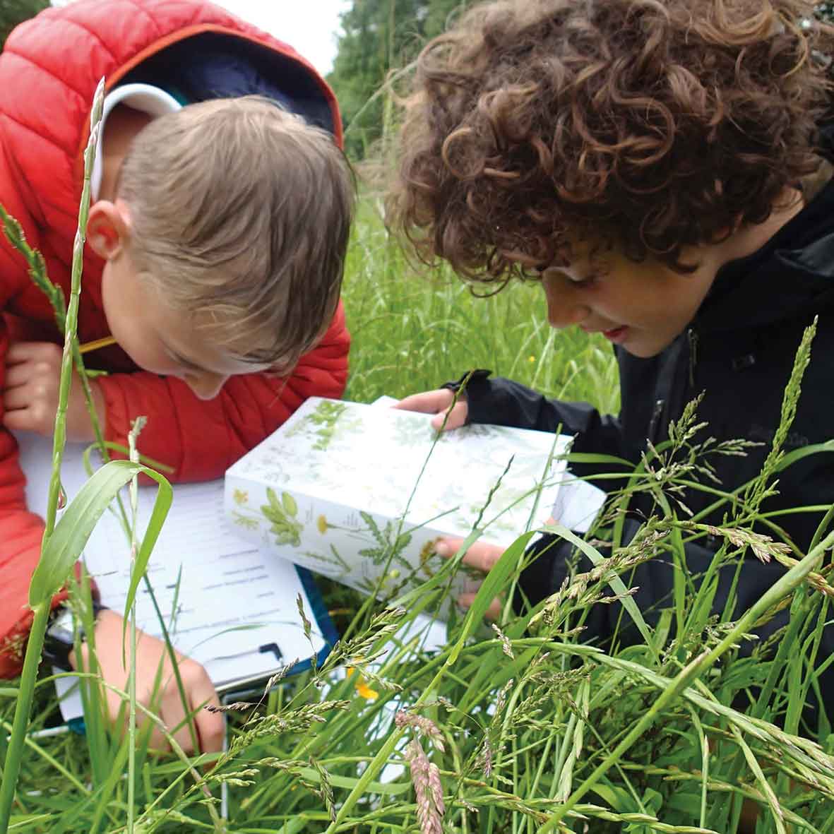 Bioblitz Yorkshire Dales