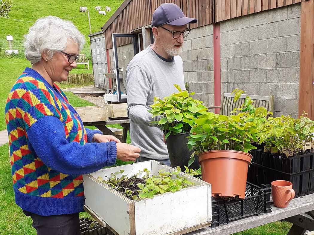Growing trees from seed 
