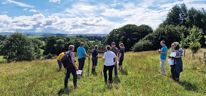 Lancaster meadow 