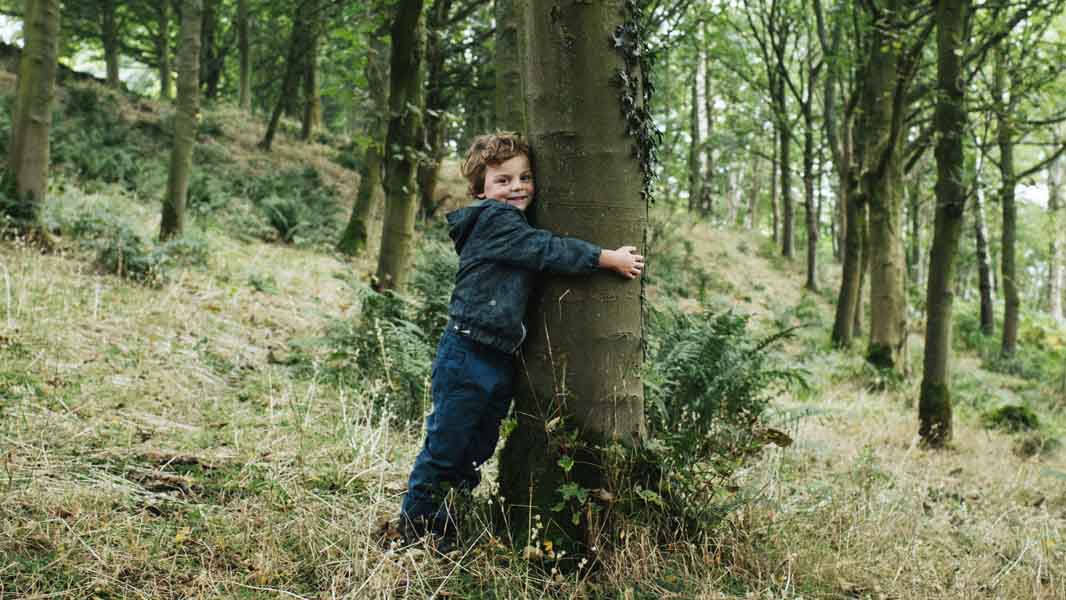 Tree hug