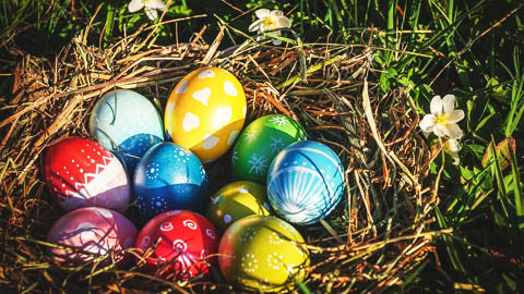 Build a nest 