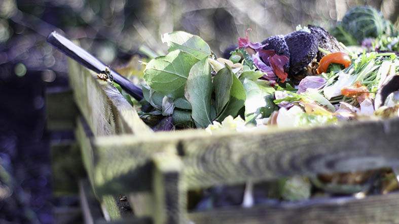 Compost bin