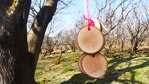 Make a nordic braid nature activity