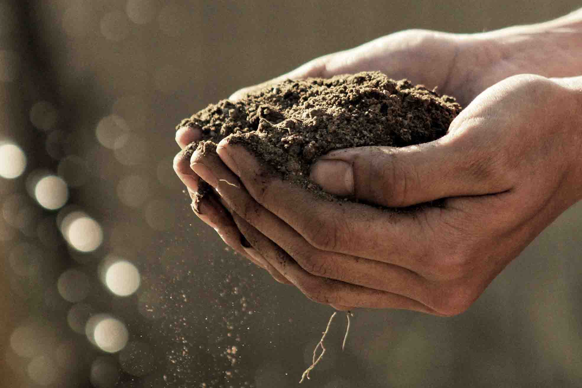 Small scale sustainable agriculture course