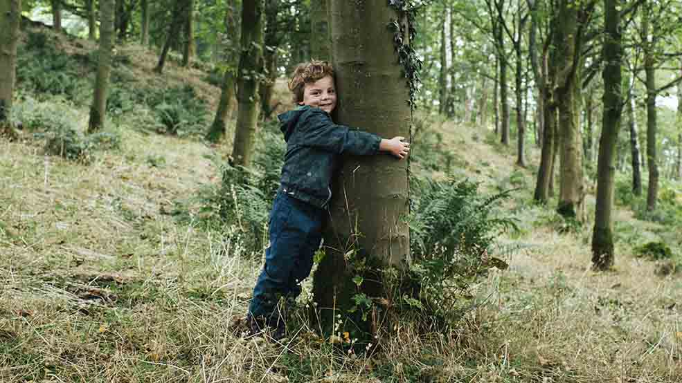 Tree hug