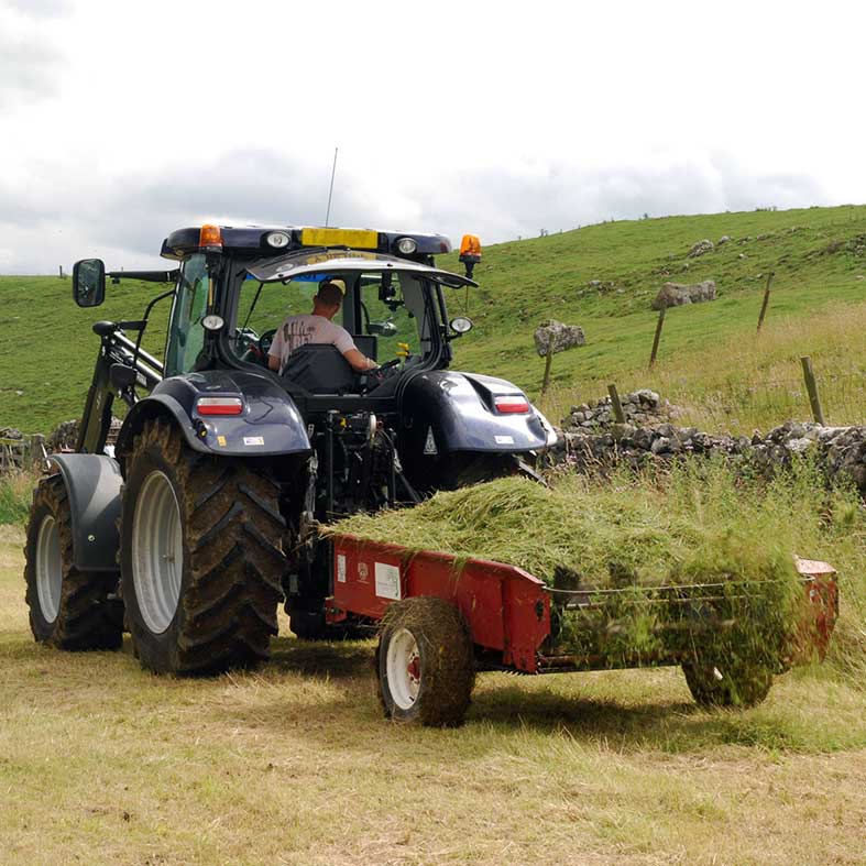 Green hay spreading