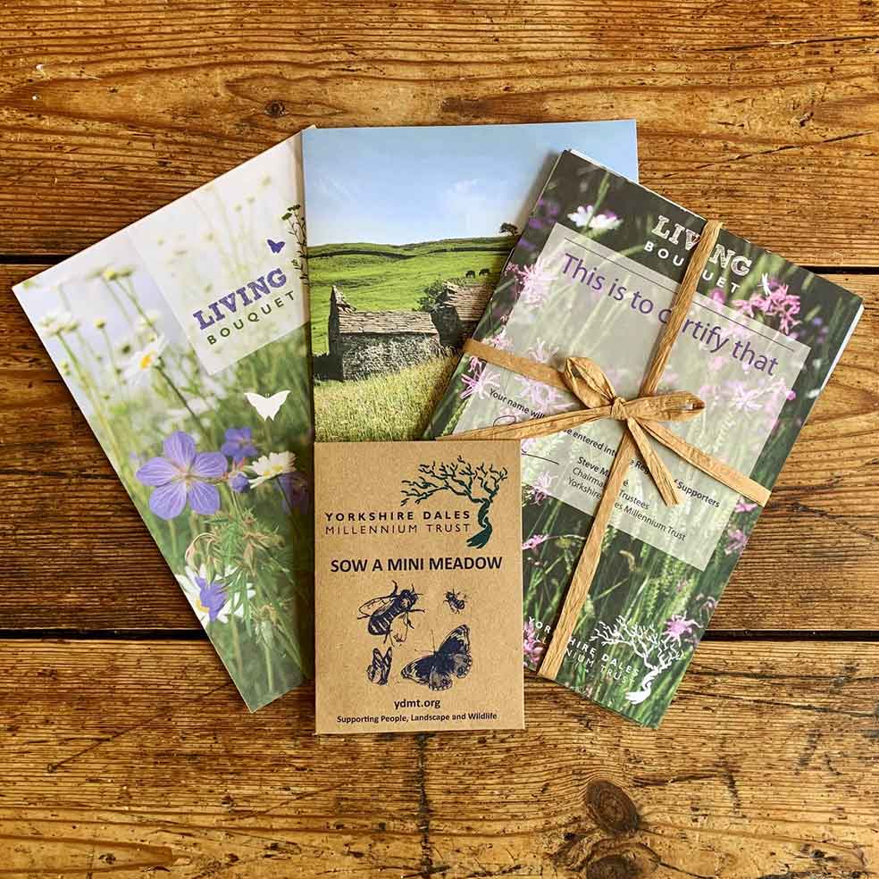 Living bouquet wildflower gift