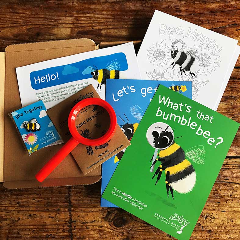 Bee Box kids gift
